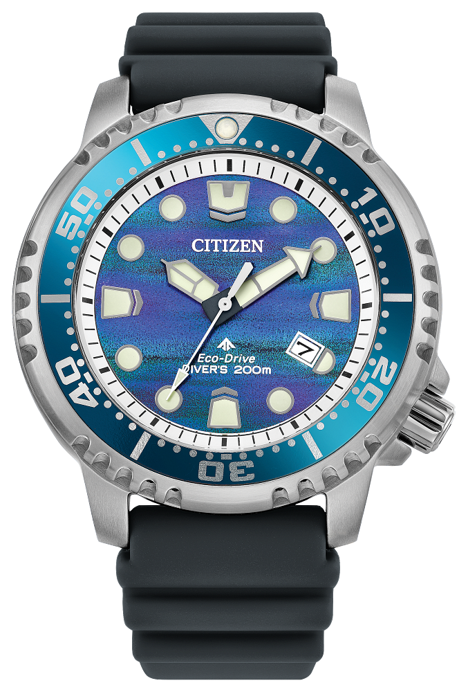 Promaster Dive